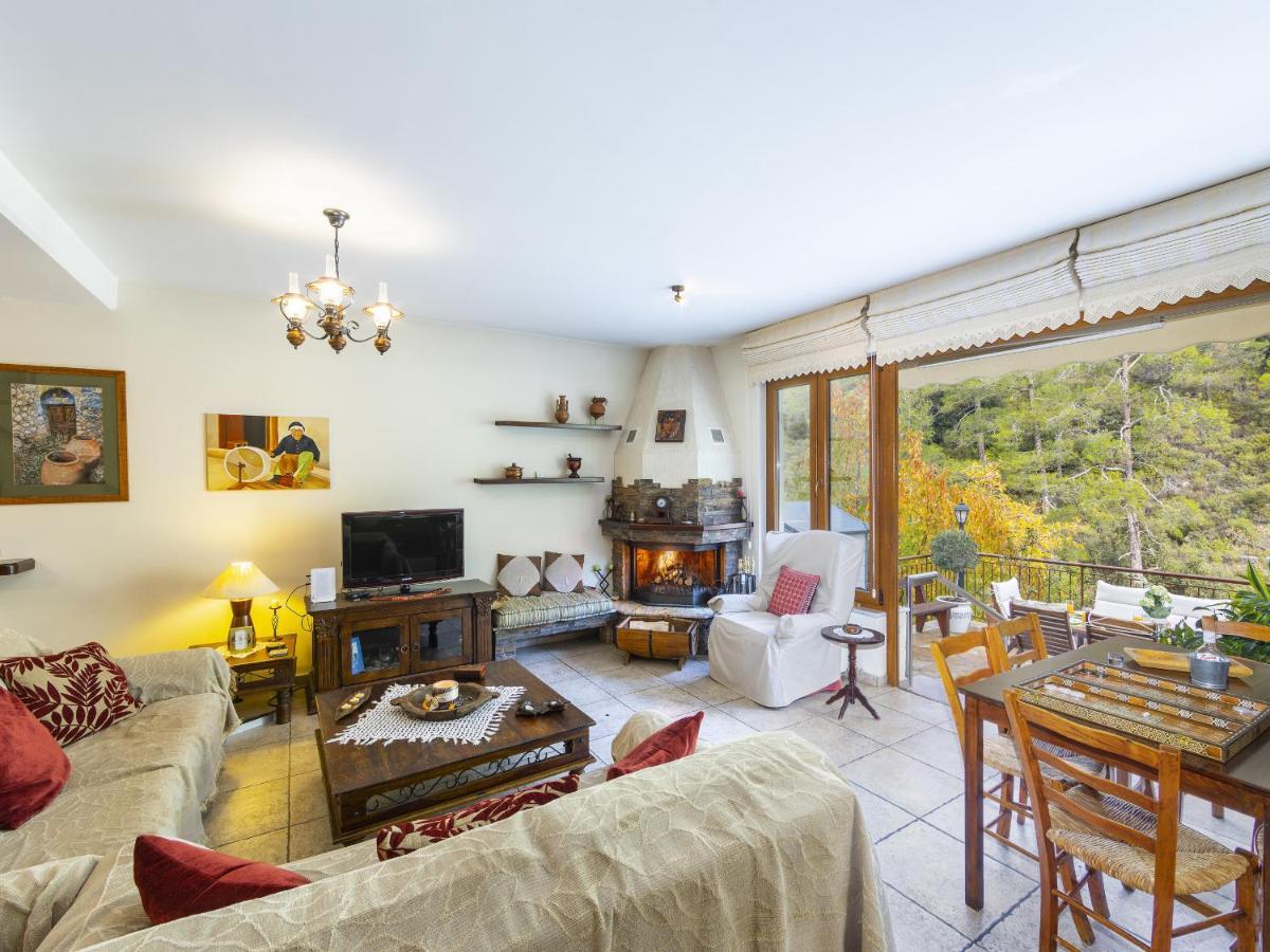 Troodos Riverside Cottage Kato Amiandos エクステリア 写真